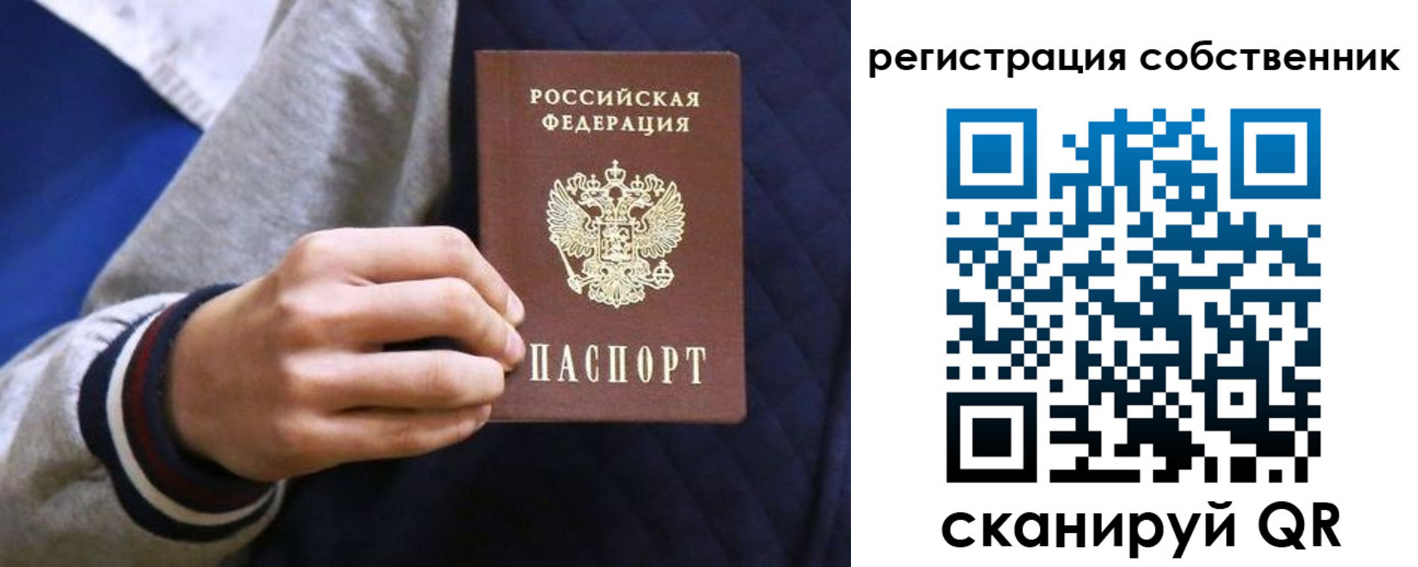 прописка поиск в Видном